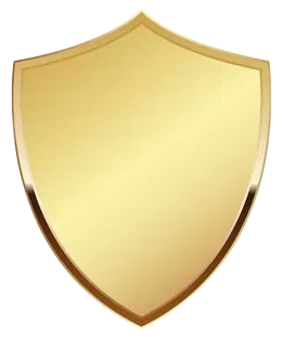 Shield protection icon